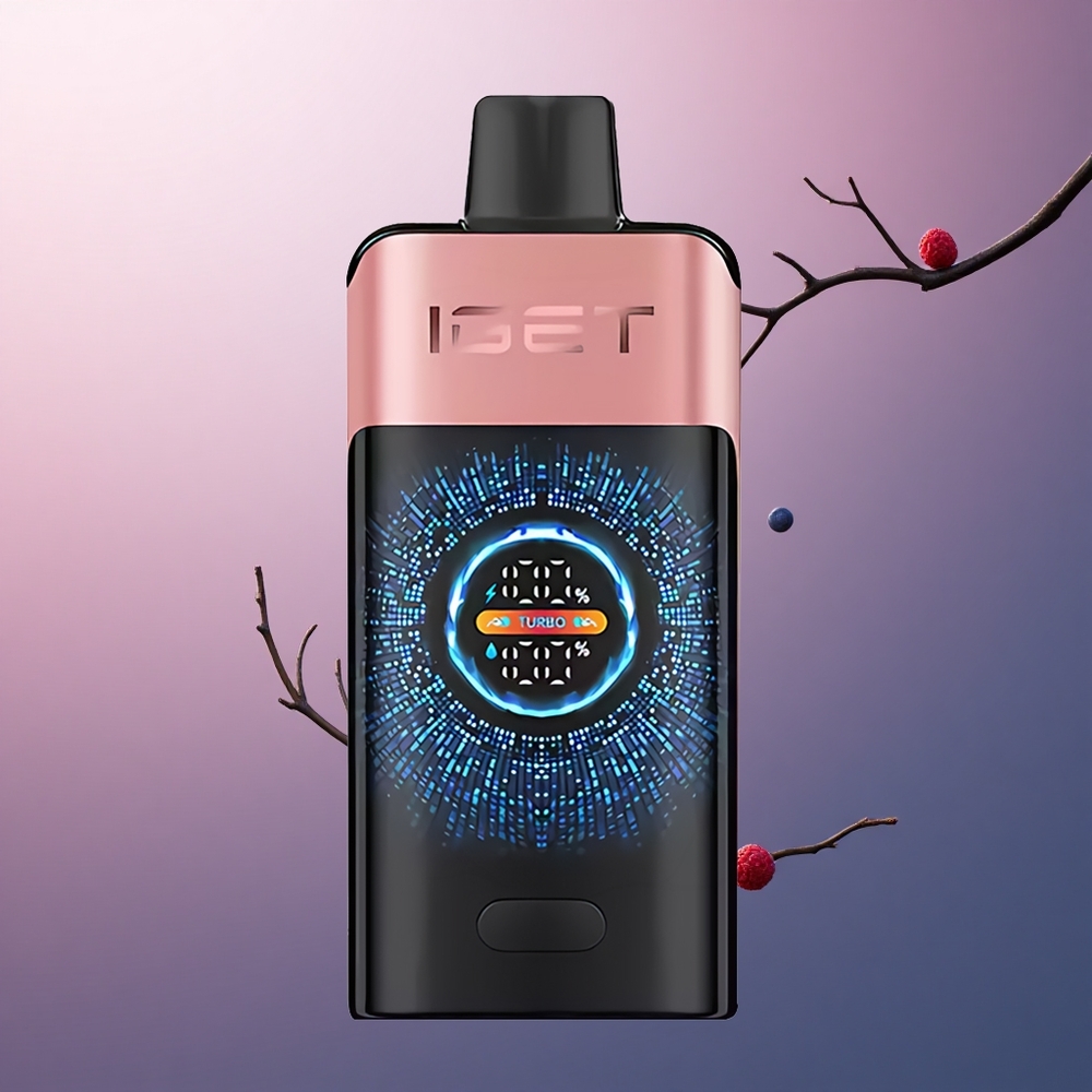 IGET ONE 12000 Puffs Framboise Myrtille Écran Courbe 2700 mAh