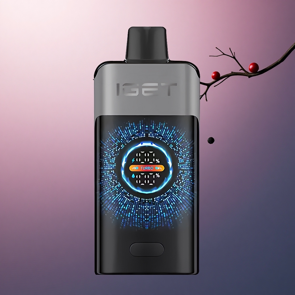 IGET ONE 12000 Puffs Mûre Cerise Grenade 2700 mAh Écran Courbe